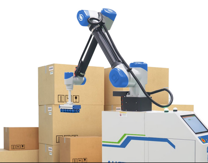 Palletizer Robot